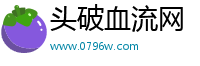 头破血流网